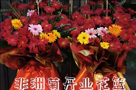 周口太康县开业花篮